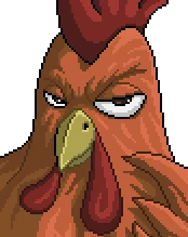 Rooster visual reference