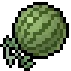 Watermelon visual reference