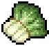 Vegetable visual reference