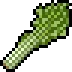 Celery visual reference
