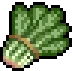 Spinach visual reference