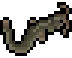 Loach visual reference
