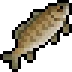Carp visual reference
