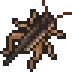 Cricket visual reference