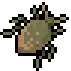 Stinkbug visual reference
